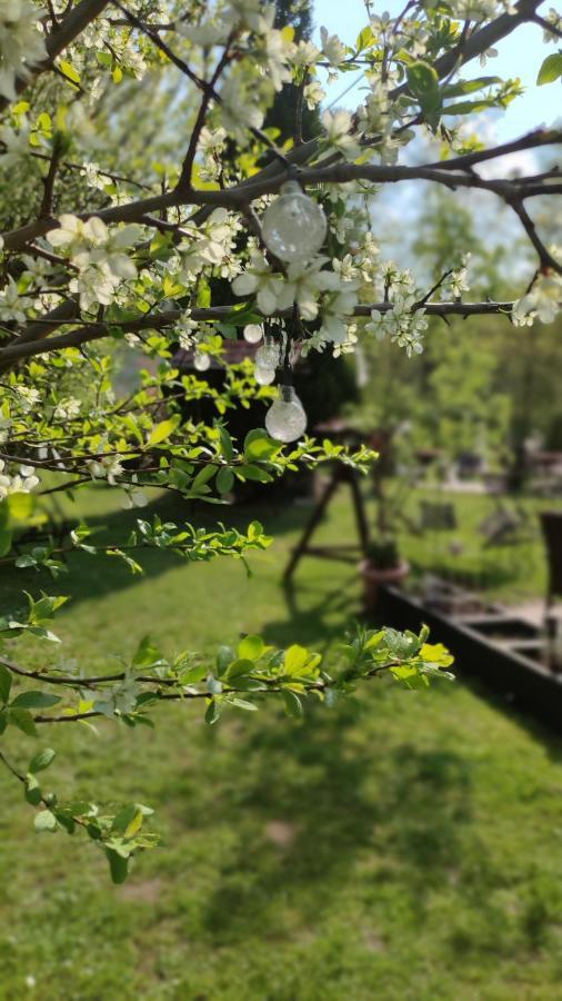 Schlossparkhotel Sallgast Екстериор снимка
