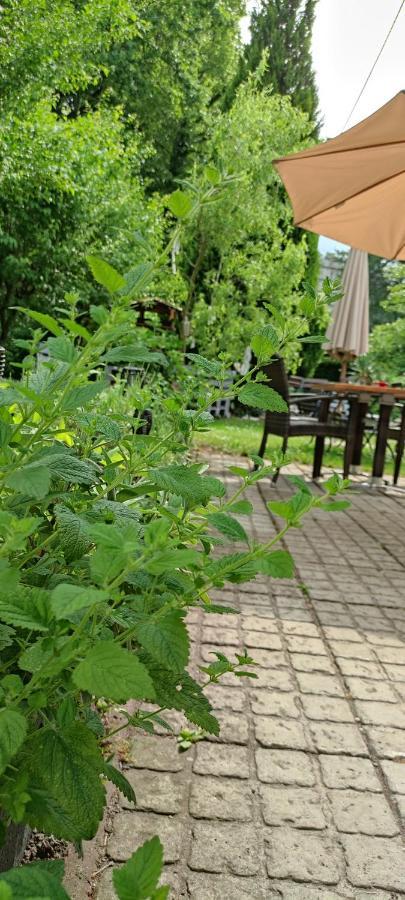 Schlossparkhotel Sallgast Екстериор снимка